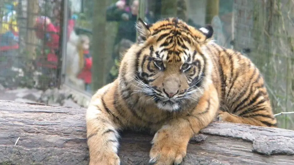 beste camping in de buurt van Beauval Zoo, Frankrijk