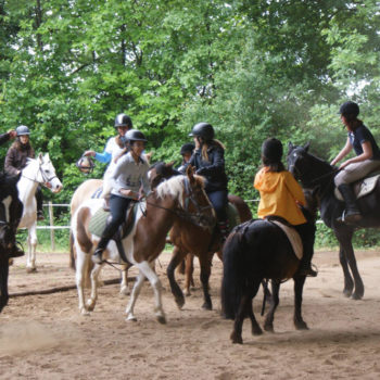Stages et des cours d'équitation