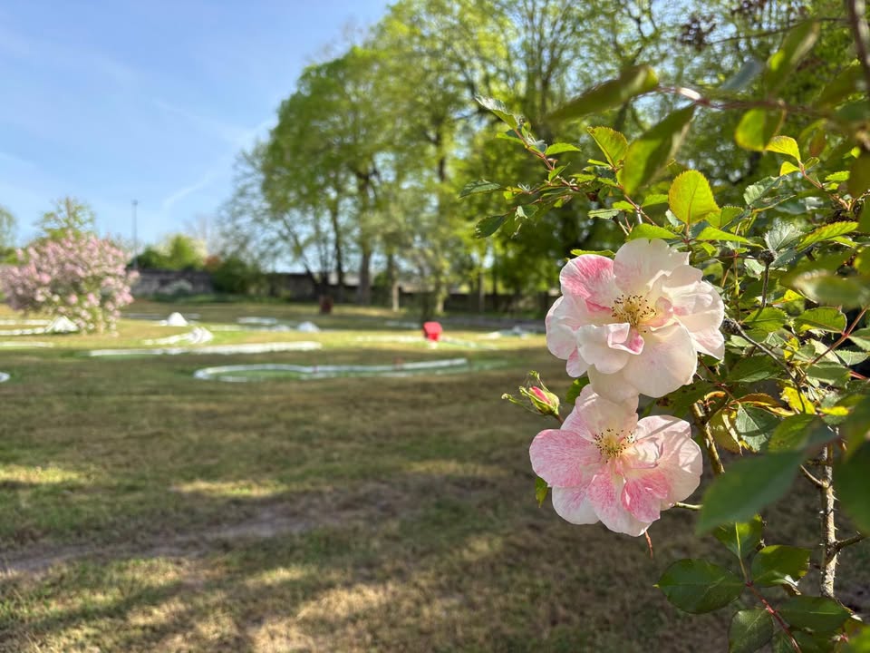 Camping Le Petit Trianon de Saint Ustre